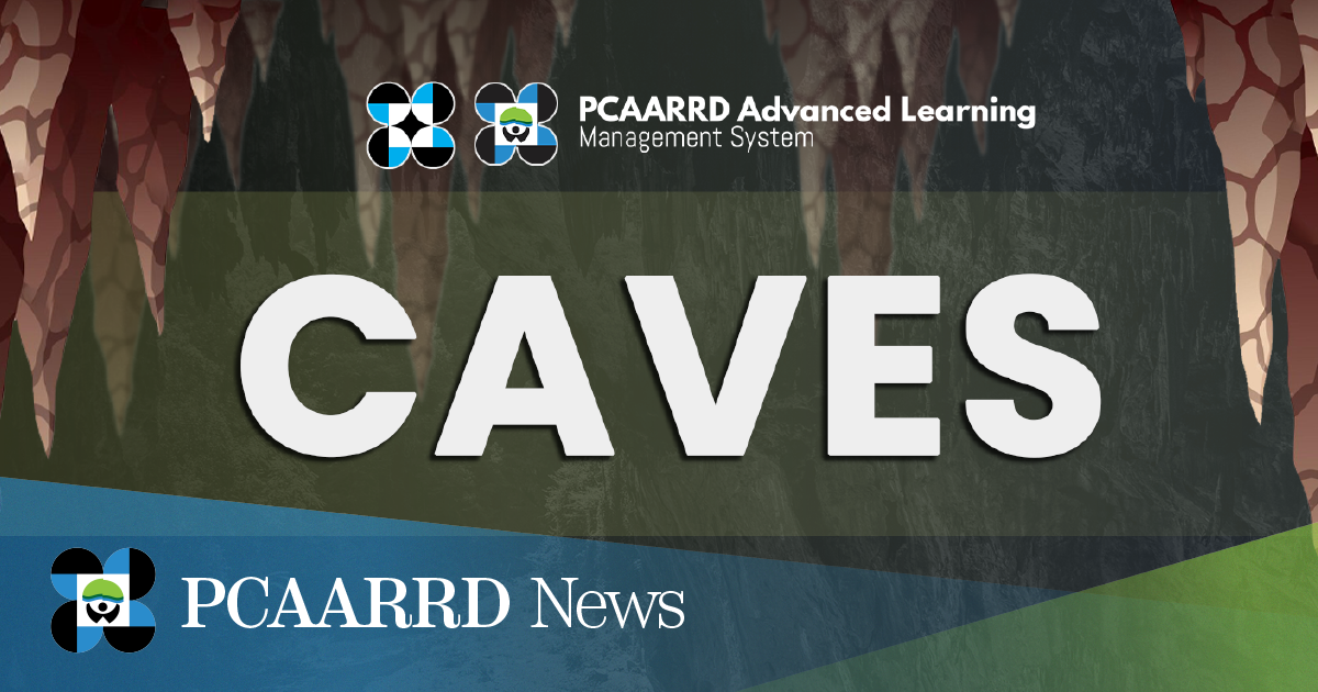 DOST-PCAARRD, NICER CAVES program of UPLB launches free online course series on cave biodiversity through PALMS